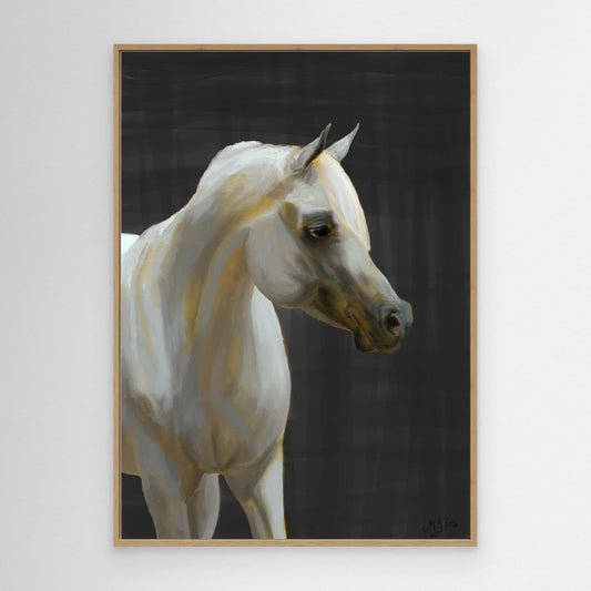 Arabian horse | Canvas