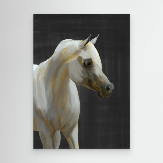 Arabian horse | Canvas