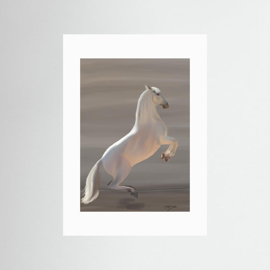 Study in Classical Movement — Courbette | Fine Art Paper Print