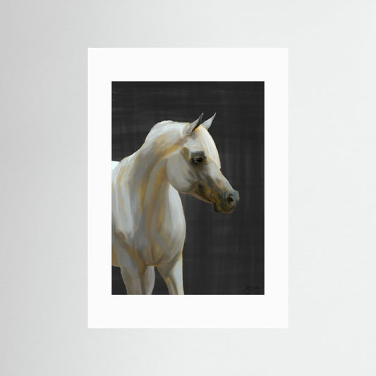 Arabian horse | Fine Art Paper Print