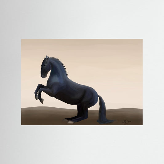 Study in Classical Movement — Levade | Fine Art Paper Print