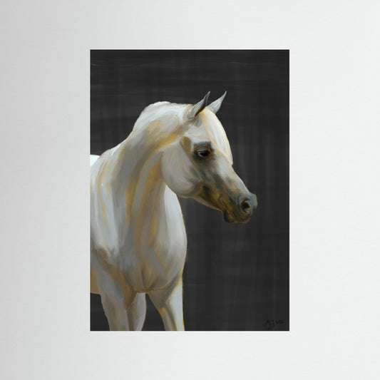 Arabian horse | Fine Art Paper Print